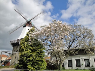 Casa de vacaciones Kappeln (Stadt) Grabación al aire libre 4