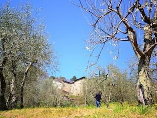 Holiday house Colognora Outdoor Recording 3