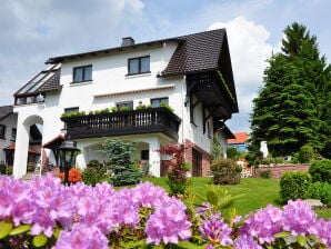 Apartamento de vacaciones Juchheim - Steinbach-Hallenberg - image1