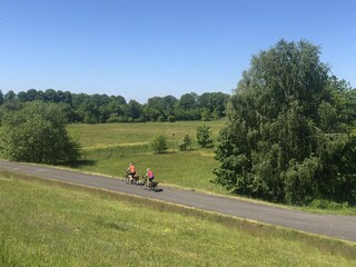 Typisch Münsteraner: immer mit dem Rad unterwegs