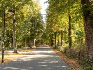 Münsters Promenade rund um die Innenstadt