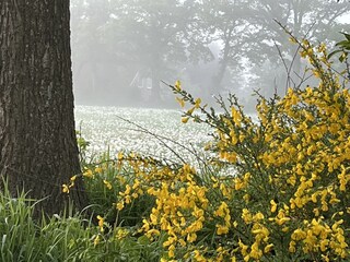 Unser Dorf morgens