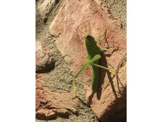 Appartamento per vacanze Morrona Documento 41