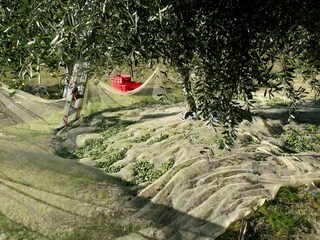 Appartamento per vacanze Morrona Ambiente 30