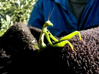 Appartamento per vacanze Morrona Ambiente 29