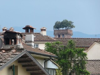 Appartamento per vacanze Morrona Ambiente 38