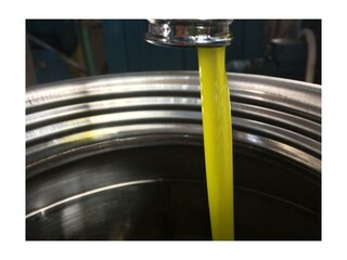 Appartamento per vacanze Morrona Ambiente 31