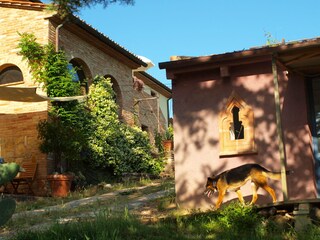 Vakantieappartement Morrona Buitenaudio-opname 4