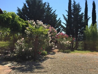 Appartamento per vacanze Morrona Registrazione all'aperto 12