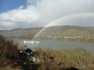 Rheinblick, manchmal mit Regenbogen