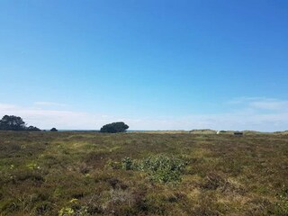 Casa per le vacanze Læsø  12