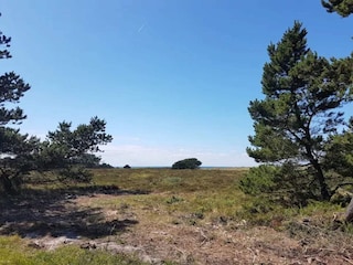 Casa per le vacanze Læsø  35