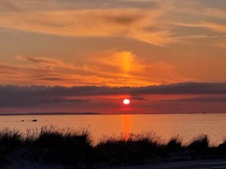 Maison de vacances Læsø  12