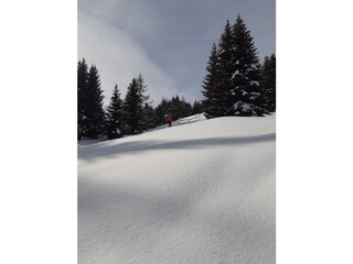 Appartamento per vacanze Pettneu am Arlberg Ambiente 25