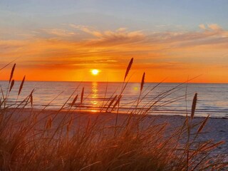 Vakantiehuis Nykøbing Sjælland  7