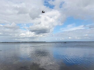 Holiday house Nykøbing Sjælland  37