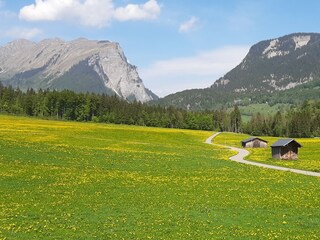 Appartamento per vacanze Schoppernau Ambiente 36