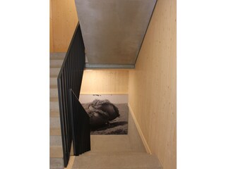 Appartamento per vacanze Schoppernau Caratteristiche 26