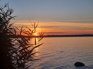 Ferienhaus Beckerwitz Umgebung 40