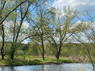 Natur hinter dem Haus