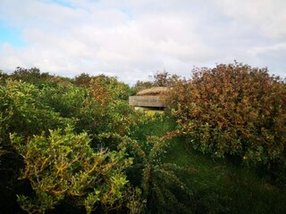 Maison de vacances Stauning  21