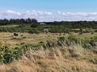 Vakantiehuis Stauning  5