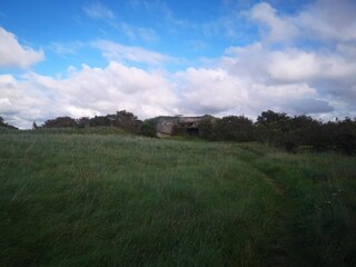 Ferienhaus Stauning  12