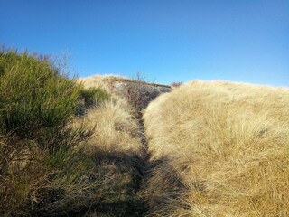 Maison de vacances Stauning  36