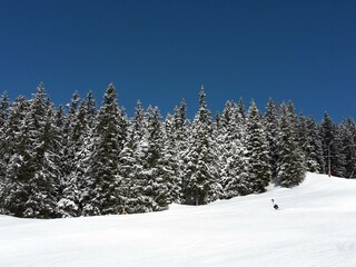 Appartamento per vacanze Zell am See Ambiente 16