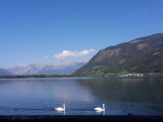 Appartamento per vacanze Zell am See Ambiente 21