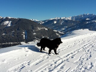 Appartamento per vacanze Zell am See Ambiente 23