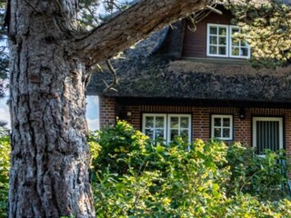 Casa de vacaciones Kampen Grabación al aire libre 4