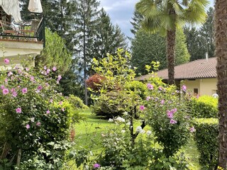 Appartamento per vacanze Lavena Ponte Tresa Registrazione all'aperto 4