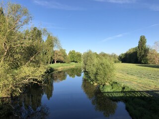 Weiße Elster in Zeitz