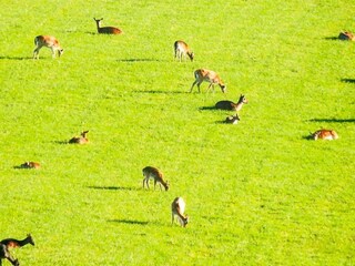 Vakantiehuis Veberöd  13