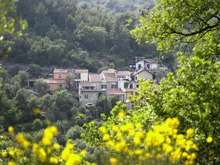 Ferienhaus San Bartolomeo al Mare Umgebung 17