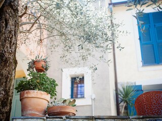 Ferienhaus San Bartolomeo al Mare Außenaufnahme 3