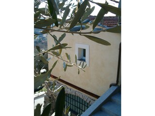 Ferienhaus San Bartolomeo al Mare Außenaufnahme 5