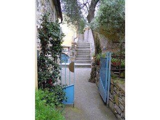 Vakantiehuis San Bartolomeo al Mare Omgeving 24