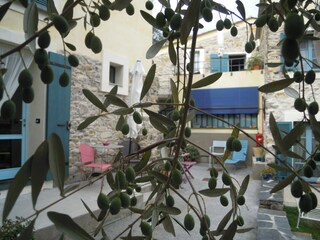 Vakantiehuis San Bartolomeo al Mare Omgeving 22
