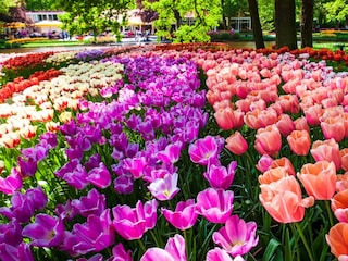 Bungalow Noordwijk Umgebung 23