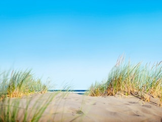 Bungalow Noordwijk Umgebung 24