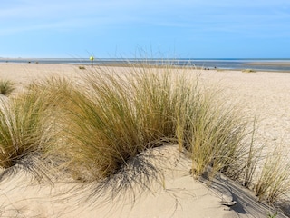 Bungalow Noordwijk Umgebung 15