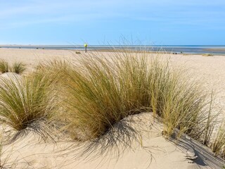 Bungalow Noordwijk Environment 13