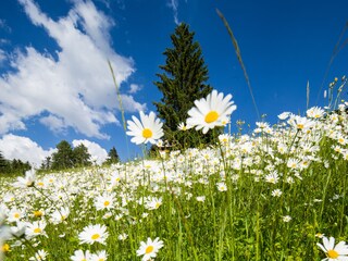Apartamento de vacaciones Wolkenstein in Gröden Grabación al aire libre 6