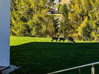 Apartamento de vacaciones Wolkenstein in Gröden Grabación al aire libre 8