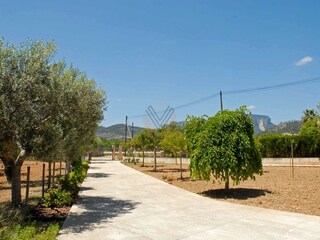 Tenuta Lloseta Registrazione all'aperto 12