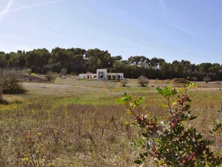 Finca Sant Joan Buitenaudio-opname 3