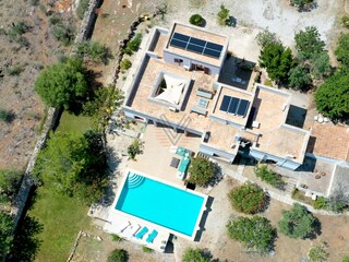 Pool & Garden