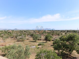 Tenuta Santa Margalida Registrazione all'aperto 3